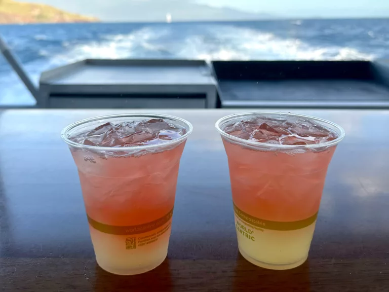 Maui Sunset Cocktail Cruise