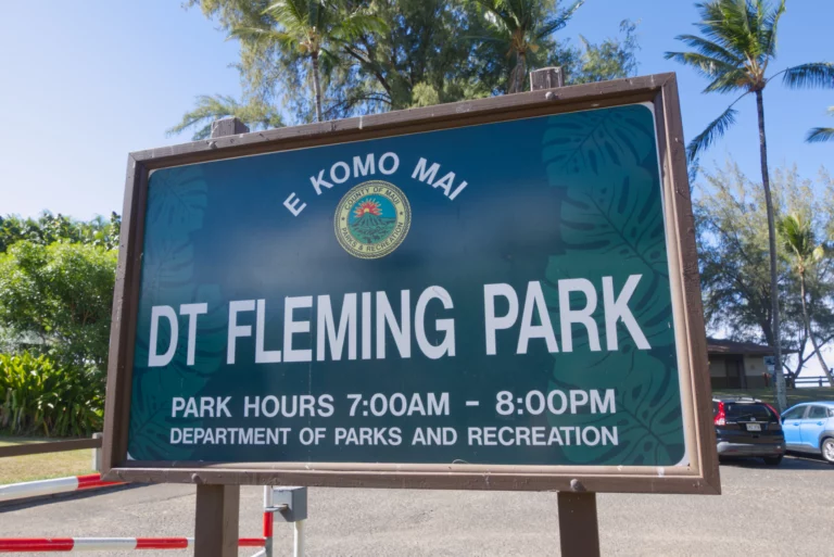 DT Fleming Park