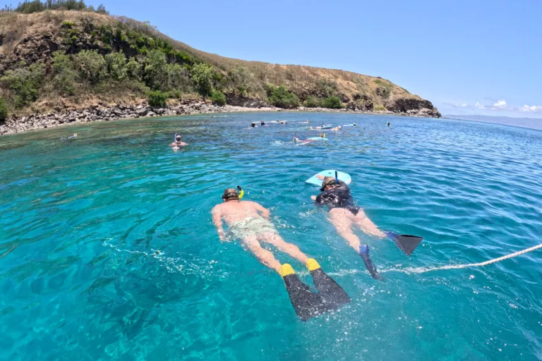 Honolua Bay Snorkeling