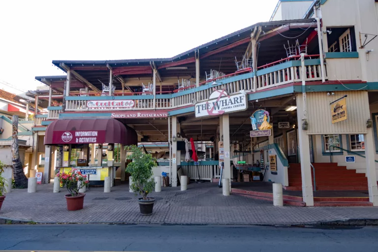 Lahaina Town Shops