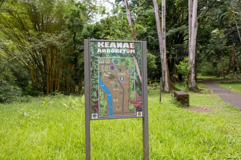 Keanae Arboretum Sign